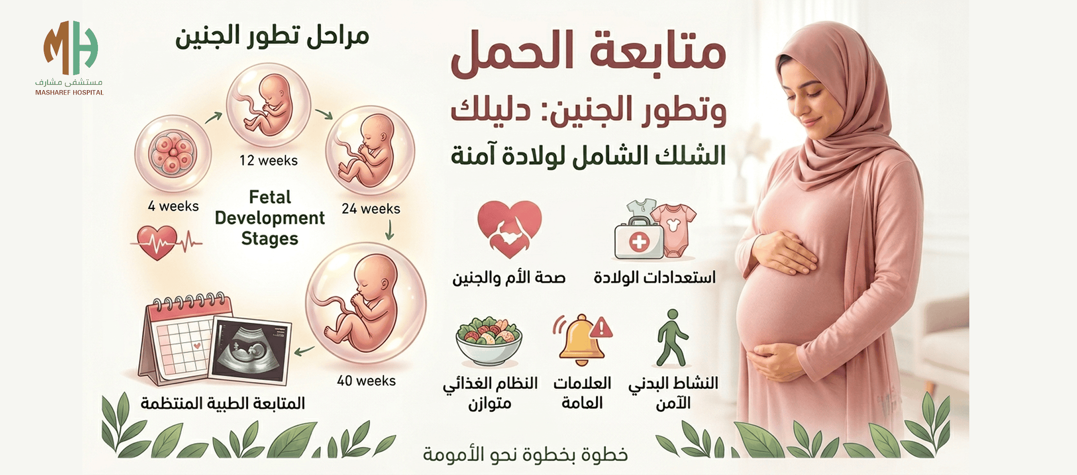 متابعة الحمل وتطور الجنين
